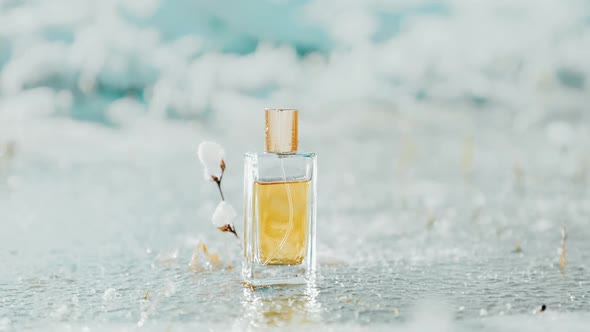 Close up of rectangular glass bottle of golden perfume stands near snowy twig on a frosted pond