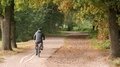 Man riding bike in the afternoon in the park. - PhotoDune Item for Sale