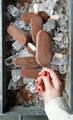 Woman with red nails holding chocolate ice cream Magnum. - PhotoDune Item for Sale