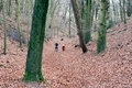 Father with daughter hiking in the winter forest  - PhotoDune Item for Sale