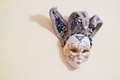 Mask hanging on the wall  - PhotoDune Item for Sale