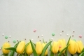 Easter yellow tulips with colored sprinkles on the white background  - PhotoDune Item for Sale