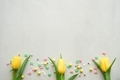 Easter yellow tulips with colored sprinkles on the white background. - PhotoDune Item for Sale