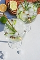 Gin and tonic with green lime and rosemary in the cocktail glass with ice cubes  - PhotoDune Item for Sale