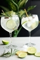 Gin and tonic with green lime and rosemary in the cocktail glass with ice cubes - PhotoDune Item for Sale