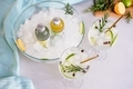 Gin and tonic with green lime and rosemary in the cocktail glass with ice cubes - PhotoDune Item for Sale