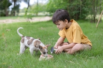  milk from a can into the cup for puppy lovingly on lawn at outdoor.