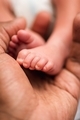 close up of african American father holding feet of baby newborn son in his hand - PhotoDune Item for Sale