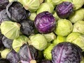 Full frame photo of green and red cabbage  - PhotoDune Item for Sale