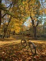 Autumn season - PhotoDune Item for Sale