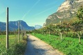 vineyards, wine road, autumn, green nature, blue sky, mountains, Italy, Alps - PhotoDune Item for Sale