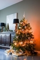 Christmas tree decorated in the living room. - PhotoDune Item for Sale