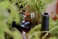 Wine Glass In Grass - PhotoDune Item for Sale