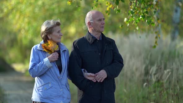 An Elderly Couple Holding Hands While Walking Together in an Autumn Park in the Afternoon