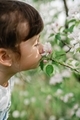 Portrait of cute six year old girl smelling the apple tree blossom  - PhotoDune Item for Sale
