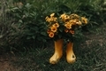 Yellow rain rubber boots with yellow flowers - PhotoDune Item for Sale