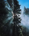 Campsite Smoke - PhotoDune Item for Sale