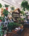 Plant Store - PhotoDune Item for Sale