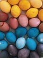 Colorful Natural Dyed Easter Eggs - PhotoDune Item for Sale