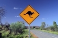 Kangaroo Crossing - PhotoDune Item for Sale