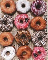 Hole Foods - PhotoDune Item for Sale