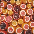 Citrus fruits - PhotoDune Item for Sale