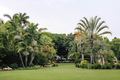 Miami botanic garden - PhotoDune Item for Sale