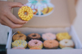 Donut box - PhotoDune Item for Sale