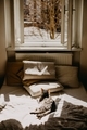Cat chilling in bed and enjoying a sunshine  - PhotoDune Item for Sale