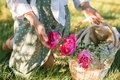 Girl in a polka dot summer skirt holding a basket of peonies. - PhotoDune Item for Sale