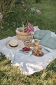 Summer picnic on the grass in the garden.  - PhotoDune Item for Sale
