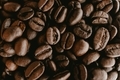 Beans of Coffee - PhotoDune Item for Sale