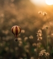 Tiny hot air balloon flying over a garden during sunset - PhotoDune Item for Sale