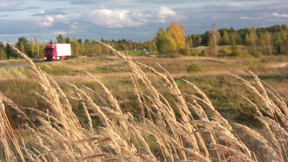 Autumn Landscape