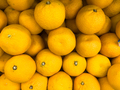 tangerines lemons citrus fruits in a grocery store or market top view  close up - PhotoDune Item for Sale