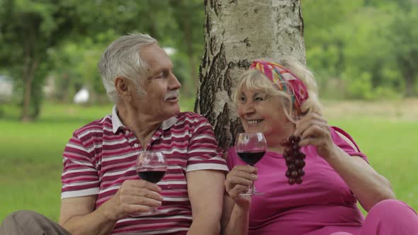 Family Weekend Picnic in Park. Senior Old Couple Sit Near Tree, Eating Fruits, Drinking Wine