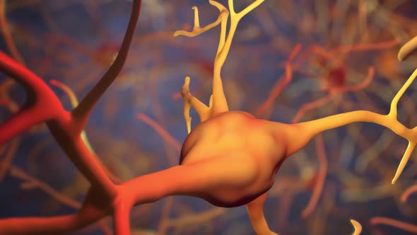 3D Animation of neural network and neurons firing