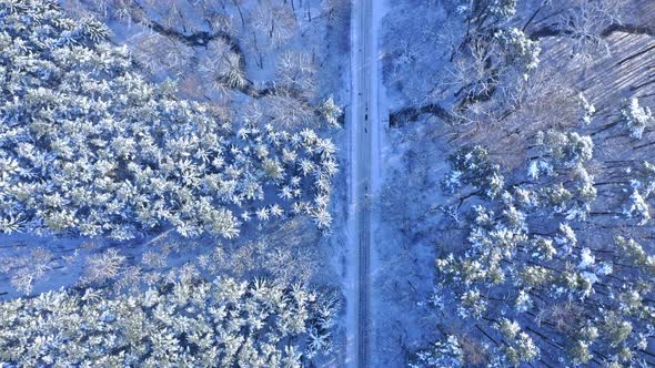 Winter forest and river. Aerial view of winter in Poland.