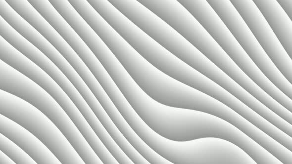 White Background. abstract wave