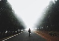A man in the middle of the road among trees with a Misty and foggy weather  - PhotoDune Item for Sale