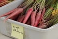 Colorful carrots for sale at farmers market - PhotoDune Item for Sale