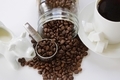 Milk in creamer, fresh coffee beans, coffee cup and sugar cubes.  - PhotoDune Item for Sale