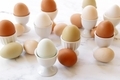 Eggs in egg cups large group - PhotoDune Item for Sale
