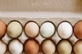 Farm fresh free range eggs in egg container - PhotoDune Item for Sale