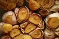 Roasted garlic bulbs - PhotoDune Item for Sale