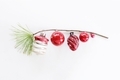 Modern minimalist Christmas tree concept. Vintage red ornaments on a branch.  - PhotoDune Item for Sale