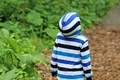 Child from rear walking through forest - PhotoDune Item for Sale
