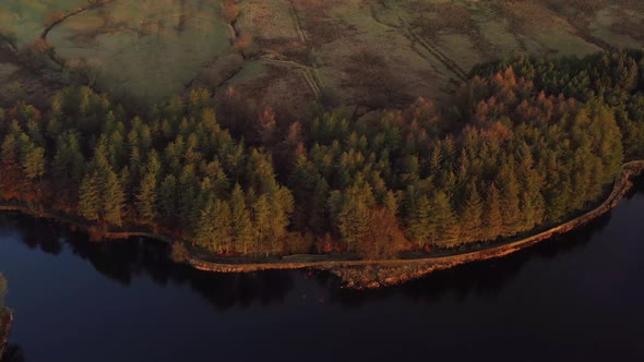 Aerial view of a lakeside forest from a drone