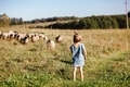 The girl in the dress is looking at the sheep in the pen - PhotoDune Item for Sale