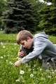 A little blond boy in a gray hoodie is sitting on the green grass and playing with dandelions - PhotoDune Item for Sale